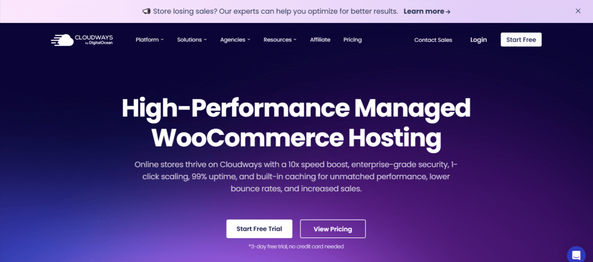Cloudways Woocommerce Hosting