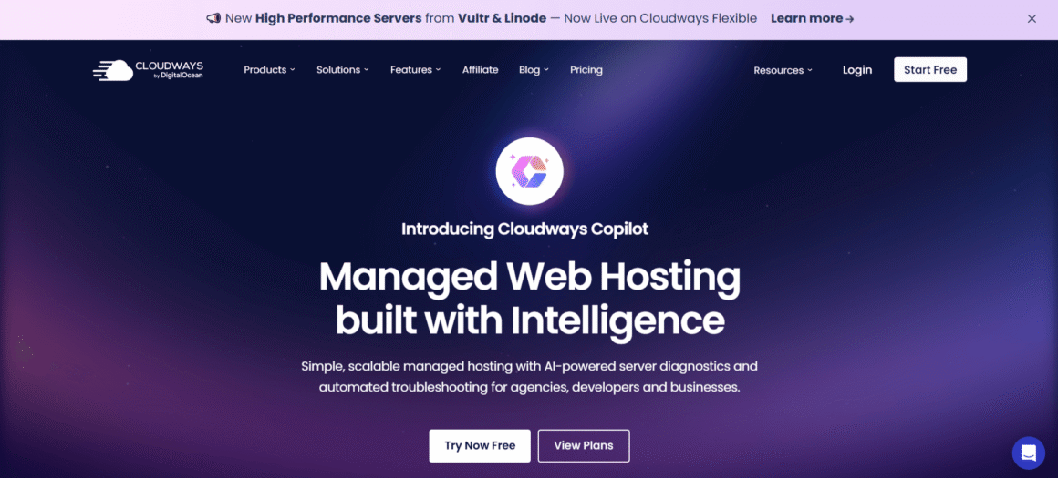 Cloudways Hosting