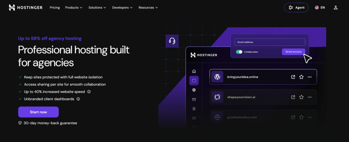 Hostinger Agency Hosting