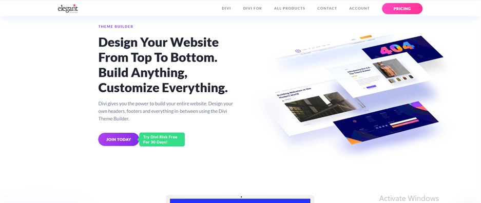 Divi’s Customization Options