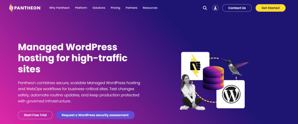 Pantheon WordPress Hosting
