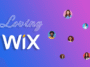 Why People Loving Wix